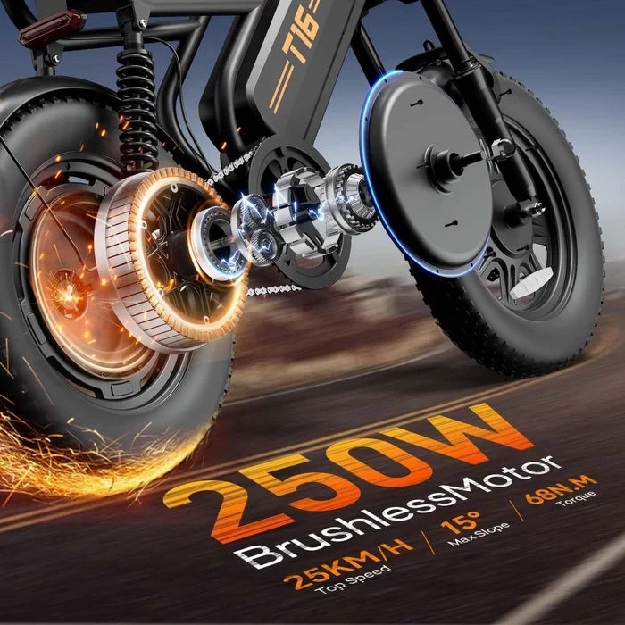 Fat Tire Electric Bike — 250W Motor, 48V 13Ah Removable Battery, Dual Suspension, Road-Legal Pedal Assist