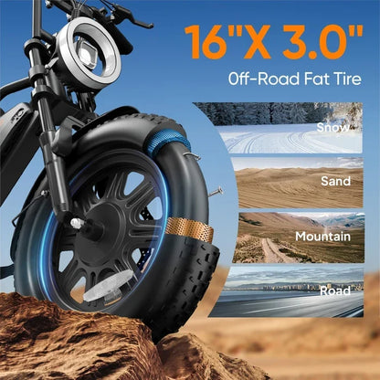 Fat Tire Electric Bike — 250W Motor, 48V 13Ah Removable Battery, Dual Suspension, Road-Legal Pedal Assist
