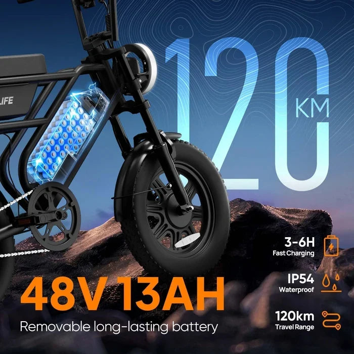 Fat Tire Electric Bike — 250W Motor, 48V 13Ah Removable Battery, Dual Suspension, Road-Legal Pedal Assist