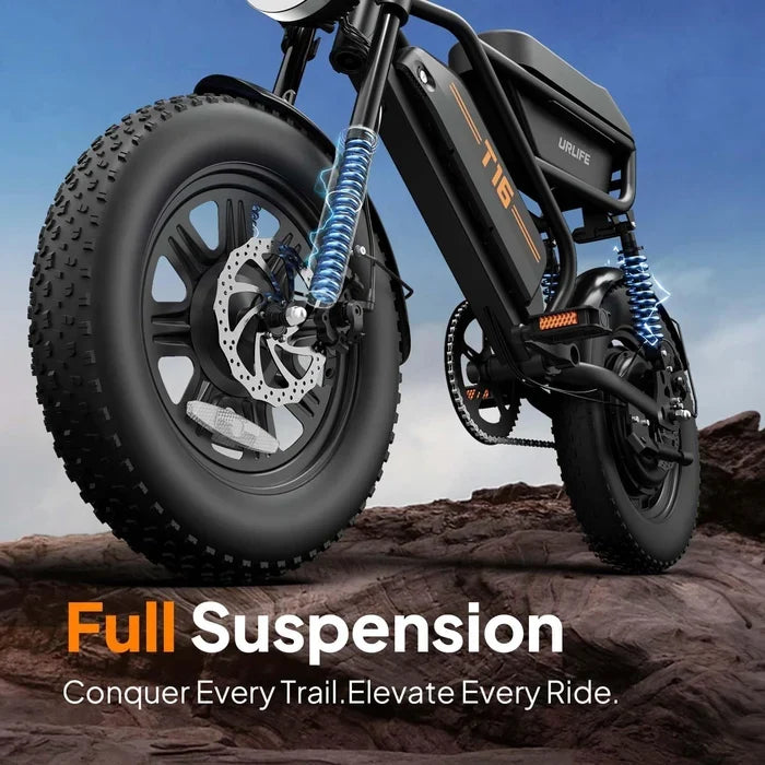 Fat Tire Electric Bike — 250W Motor, 48V 13Ah Removable Battery, Dual Suspension, Road-Legal Pedal Assist