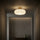 Vintage Amber Glass Ceiling Light With Brass Canopy