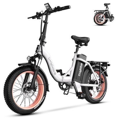 EUYBIKE Folding Electric Bike — 1000W Peak Motor, 48V 20Ah Battery, 20" Fat Tire, Off-Road