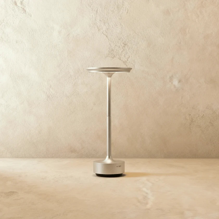 Modern Iron Art Table Lamp LED Light With Acrylic Shade – USB Rechargeable