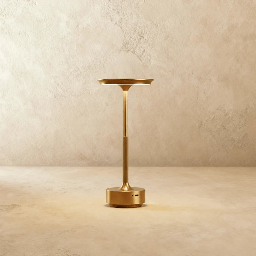 Modern Iron Art Table Lamp LED Light With Acrylic Shade – USB Rechargeable